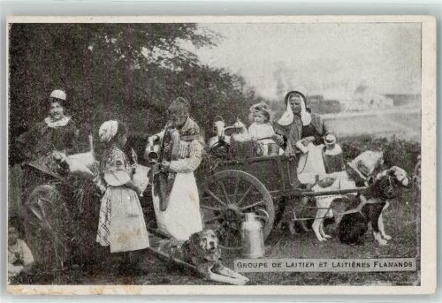Groupe de Latier et Latieres Flamands AK Hundekarren 1916