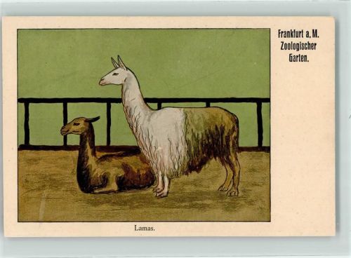 Frankfurt Lamas sign. Hedwig Werner Rades