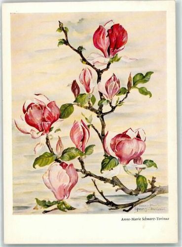 Anne-Marie Torinus Magnolie Nr 1203