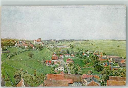 87730 W8944 Bad Grönenbach , Allgäu Künstlerkarte Schloss u. Forstamt Kühe Felle Isny
