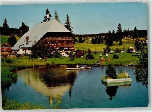 Schluchsee Hotel Mühle Teich Ruderboot