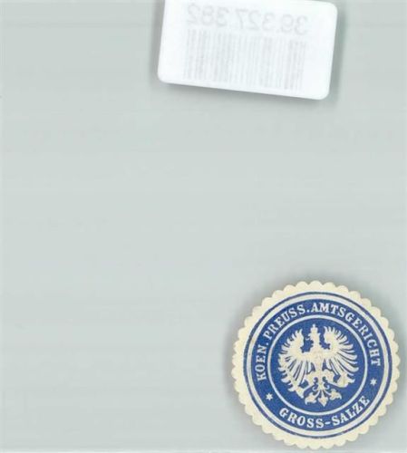 Groß Salze Koen. Preuss. Amtsgericht Gross-Salze