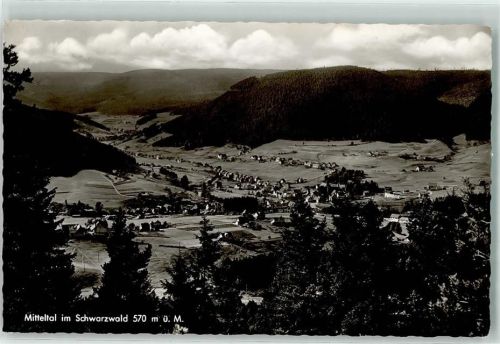Mitteltal