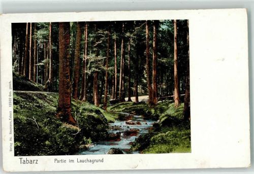 Tabarz Goldfenster-AK Lauchagrund Waldbach