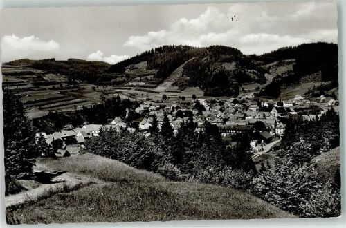 Steinwiesen