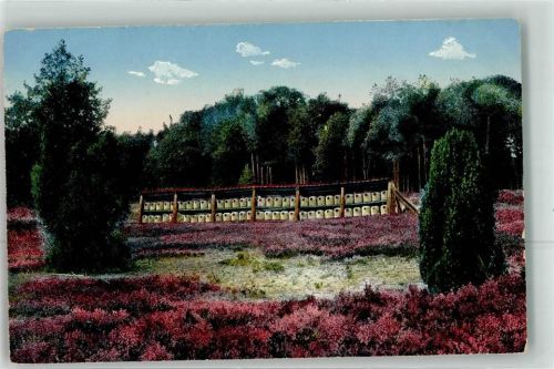 Bienenzaun Lüneburger Heide Nr.37
