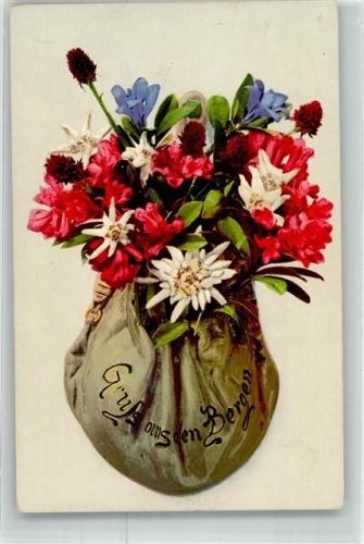 1911 Alpenflora Edelweiss Enzian