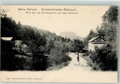 Gohrisch 1907 Sächsische Schweiz Sommerfrische Hirschkegrund Lilienstein