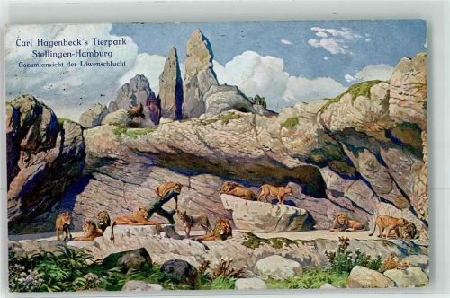 Stellingen 1913 Löwenschlucht Nr.108