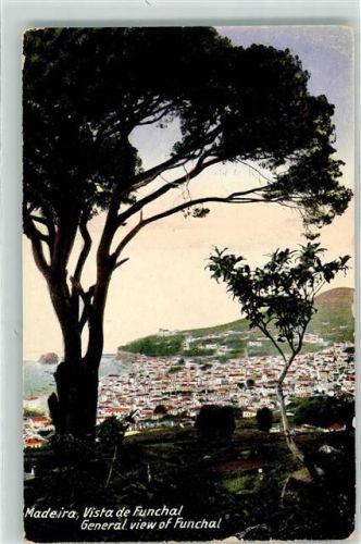 Funchal General View Baum