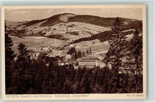 Krynica-Zdrój Aussicht vom Parkberg Sanatorium Löwenburg