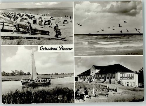 Ostseebad Prerow Segelboot Möwe Strand Dünenhaus Möwen