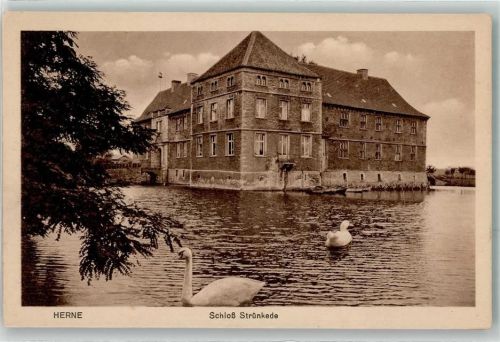 Herne Schloß Strünkede Schwan Ente
