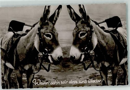 Wann sehn wir drei uns wieder