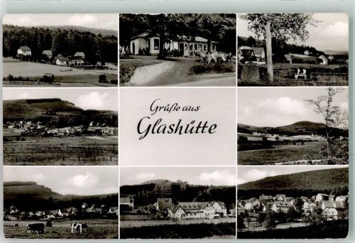 Glashütte Kühe