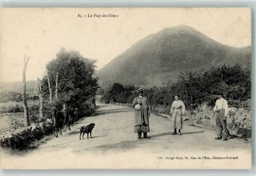 Orcines le Puy-de-Dome Kühe
