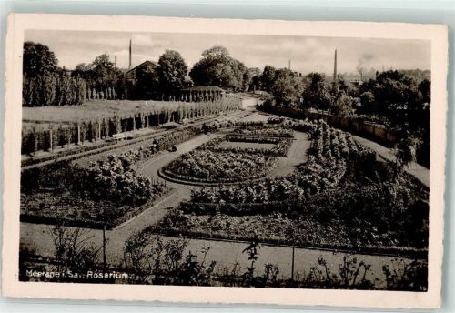 Meerane Rosarium