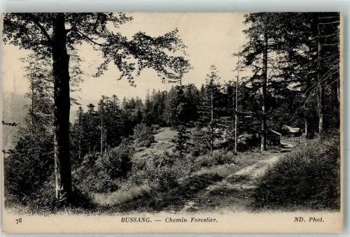 Bussang Chemin Forestier