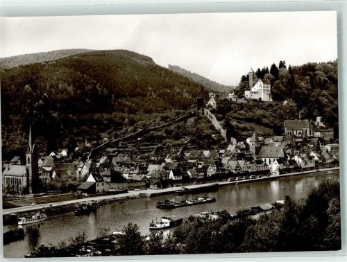 Hirschhorn Schloss Hotel auf der Burg Binnenschif