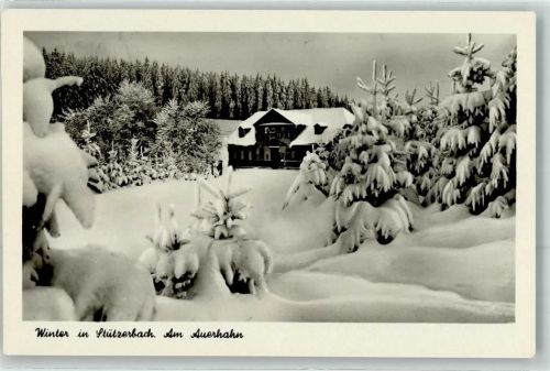 Stützerbach Am Auerhahn-Gasthaus Winter