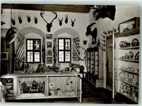 74855 W6954 Neckarmühlbach - Burg Guttenberg Sammlung