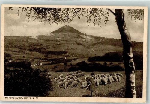 Hohenstaufen 1918 Schäfer mit seiner Herde vor dem Burgberg