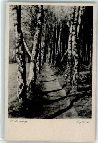 Eystrup Birkenweg