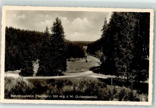 Benneckenstein Ochsenbachtal