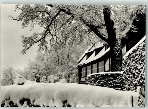 Neckarmühlbach Winter Burg Guttenberg Burggasthaus