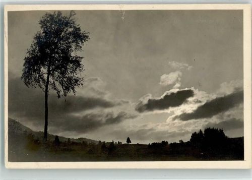 Nesselwang Wolkenverhangene Sonne über einem einsamen Baum Fotograf A. Tanner Ort lt. Fotograf