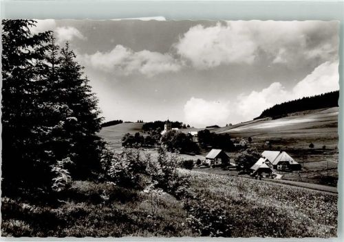 Breitnau Gasthaus zum Kreuz Vogelschau