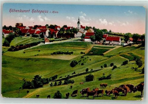 Hohegeiß Höhenluftkurort Kirche Kuh Vieh