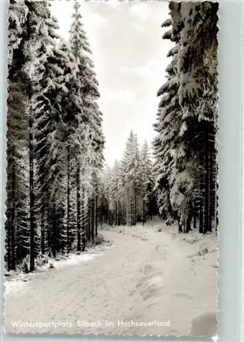 Silbach Wintersportplatz Hochsauerland Winter Schnee