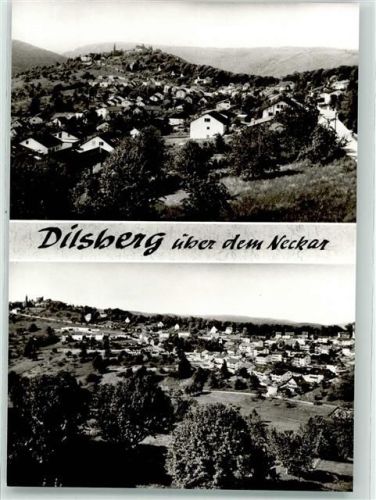 Dilsberg Neuhof