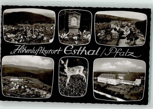 67466 W6731 Esthal Foto AK Kirche Gedenkstein Reh Provinzmutterhaus Höhenluftkurort Pfalz