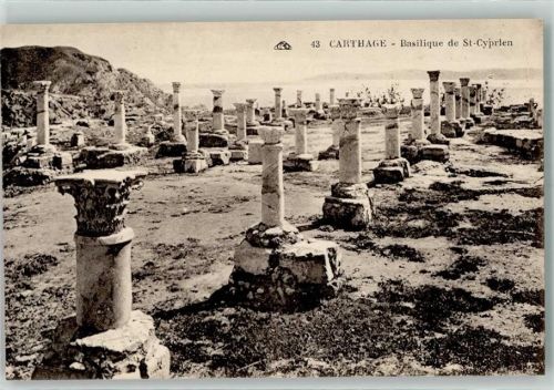 Karthago Denkmal Säulen Basilique de St-Cyprien