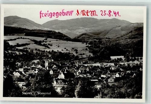Steinen Vogelschau
