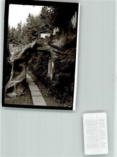 Laubach Märchenzoo Ort handschriftlich Foto Original aus Archiv eines Ansichtskartenverlags