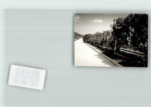 Burg Ort handschriftlich Foto Orginal aus Archiv eines Ansichtskartenverlags