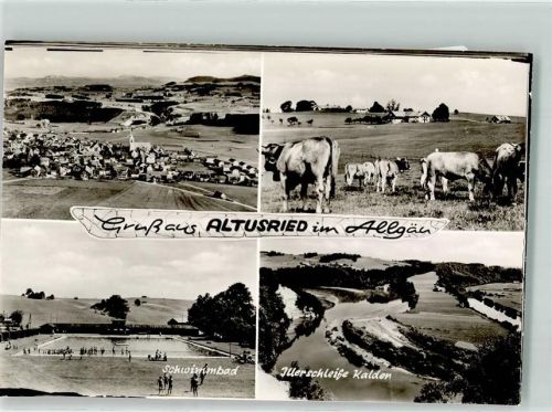 Altusried Kühe Schwimmbad Illerschleif Kalden Fliegeraufnahme