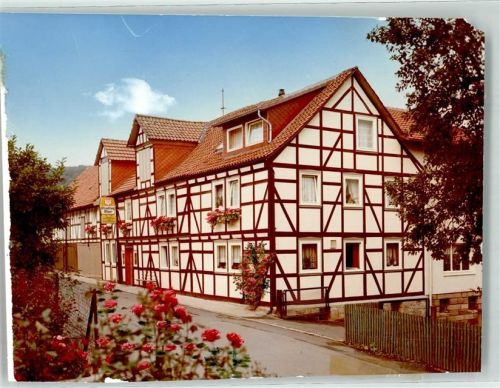 Laubach Pension zum Braunen Hirsch Foto Original aus Archiv eines Ansichtskartenverlags Ort handschriftlich