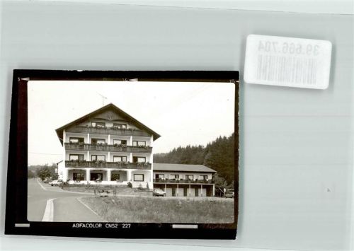 Wildensee Foto Original aus Archiv eines Ansichtskartenverlags Pension Waldfrieden Oldtimer Ort handschriftlich