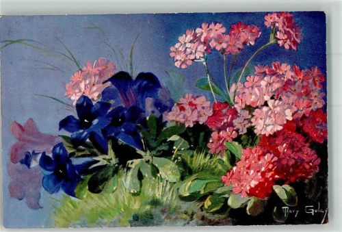 1906 sign. Galay Mary Enzian Primel T.S.N. Serie 516 Nr. 5