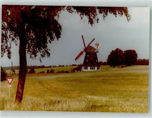 Seedorf Windmühle Ort handschriftlich Foto Original aus Archiv eines Ansichtskartenverlags