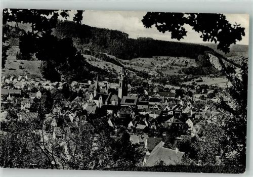 Haslach mit Kirche St. Arbogast