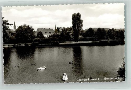 Castrop-Rauxel Gondelteich Schwan