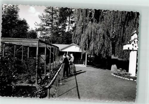 Diestedde Foto Original aus Archiv eines Ansichtskartenverlags Internat Taubenhaus Ort handschriftlich