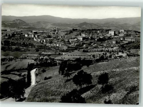 Urbino Vera Foto