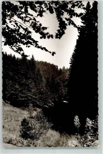 Feudingen Ilsetal Foto Original aus Archiv eines Ansichtskartenverlags
