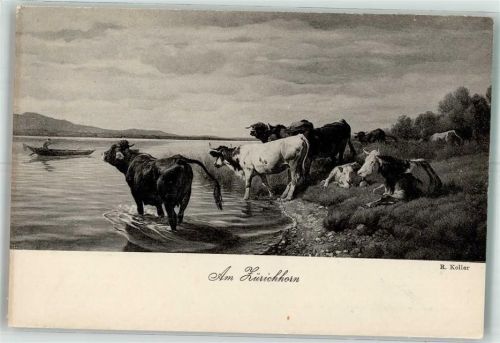 Kühe an der Tränke am Zürichhorn
